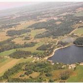 George's Cadillac Farm