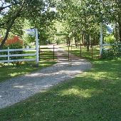 Dexter Horse Farm