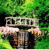 Lewis Emery Park Waterfall
