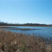 Fourmile Lake