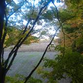 DeLanoy Hunt Club