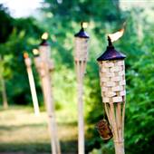 The Thornapple