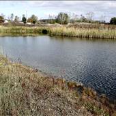 Ponds around Richmond MI