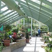 Wings of Mackinac Butterfly Conservatory
