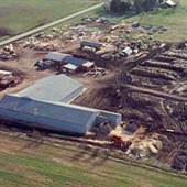 McCormick Sawmill Timber-Buyer