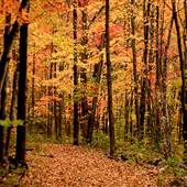 Drummond Island Michigan