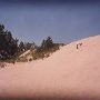 Warren Dunes State Park