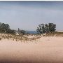 Warren Dunes State Park