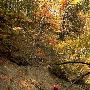 Dowagiac River