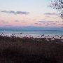 Harbor Beach Shoreline