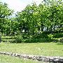 Kzoo Cemetery