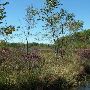 Bald Mountain State Park
