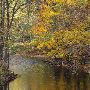 Wolcott Mill and Metro Park