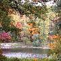 Hidden Lake Gardens