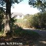 Stepp Property