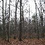 Bald Mountain State Park