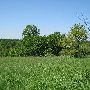 Bald Mountain State Park