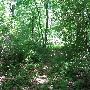 Bald Mountain State Park