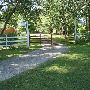 Dexter Horse Farm