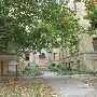 Woodland Abandoned Apartments