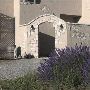 Grey Hare Inn Vineyard Bed & Breakfast
