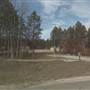 4-Mile Forest Trail Camp