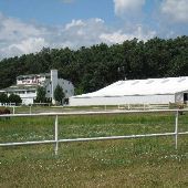 Ivory Farms