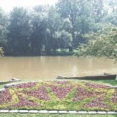 River Raisin