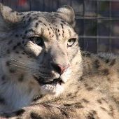 Potter Park Zoo