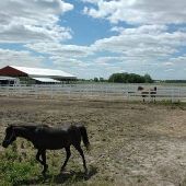 St. Clair Ranch