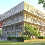 Wayne State University