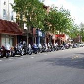 The Bird Bar and Grill