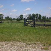 Otto Farm