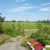 Bay Harbor Resort and Marina