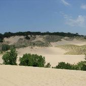 Warren Dunes State Park