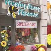 Wesly Berry Flowers- Penobscot