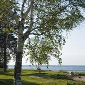 Mackinac Straight Roadside Park