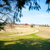 Kevin's Ann Arbor Farm