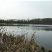 Doyle Lake