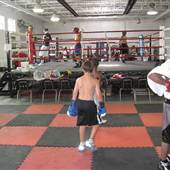 Detroit Boxing Jungle