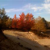 Sand Dune Cabin