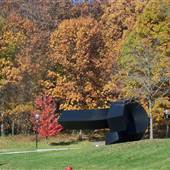 Ann Arbor FALL Landscape photos