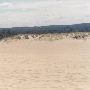 Warren Dunes State Park
