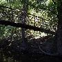 Coopersville Park