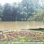 River Raisin