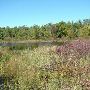 Bald Mountain State Park