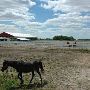 St. Clair Ranch