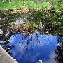 W.J. Beal Botanical Gardens
