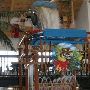 Safari Joe's Indoor Waterpark