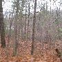 Bald Mountain State Park